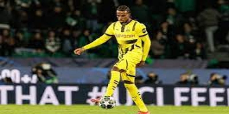 赛季展望与调整建议 - BG真人