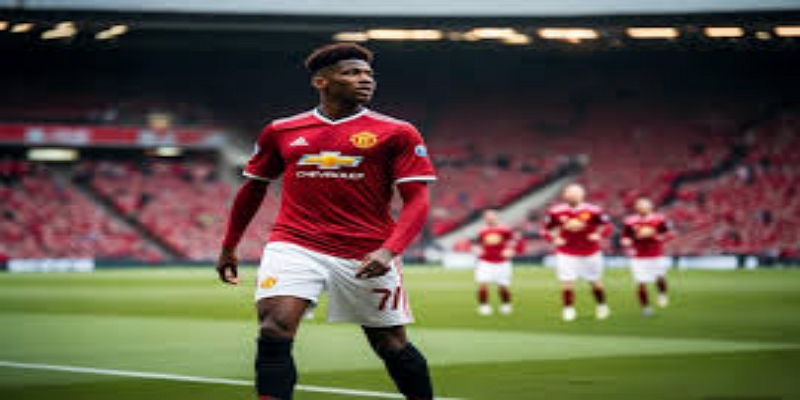 数据预测与未来展望-BG真人