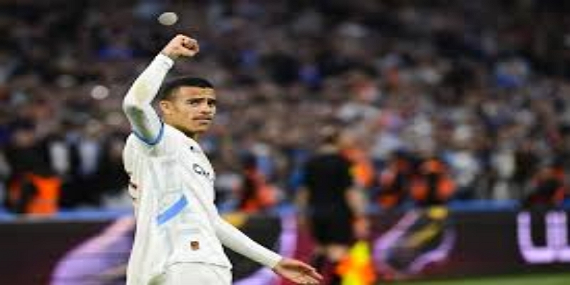 格林伍德的技术与成熟度-BG真人