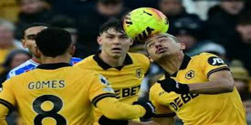 战术深度解析-BG真人