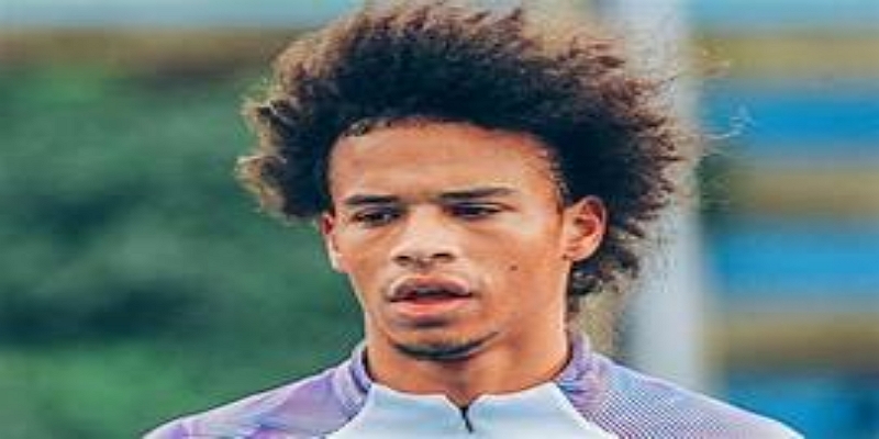 为什么选择BG真人体育应用 BG真人深度解析体育信息时代-BG真人